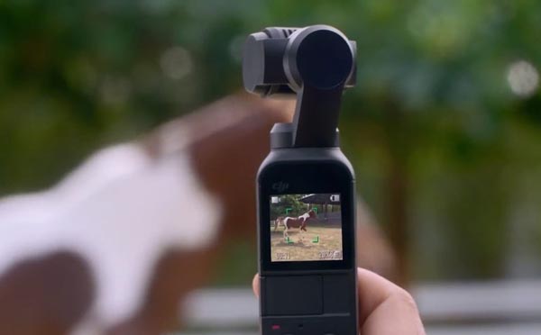 �󽮷����ں��С2499Ԫ������OSMO�ڴ���̨���1